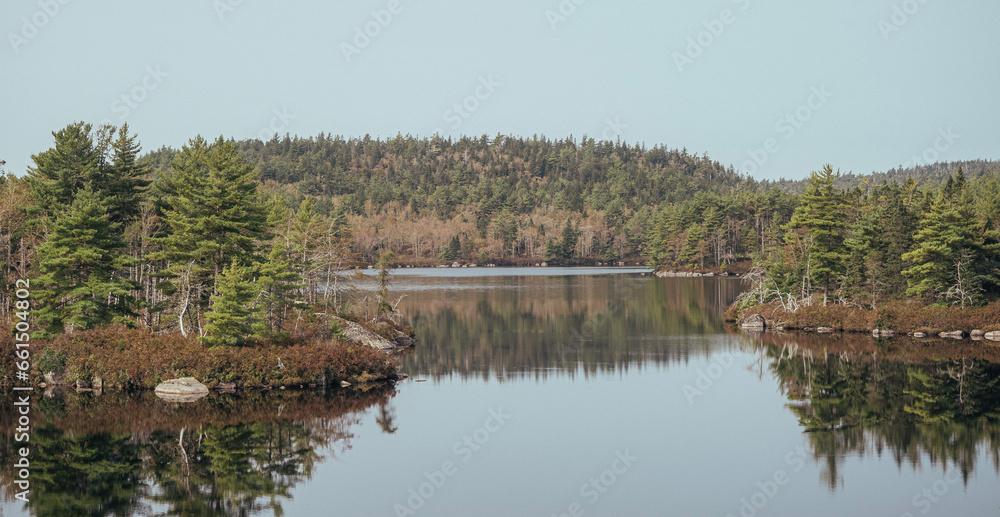 lake in the forest