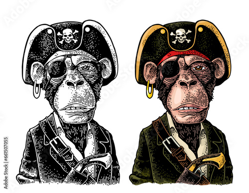 Monkey pirate with gun dressed in a cocked hat. Engraving