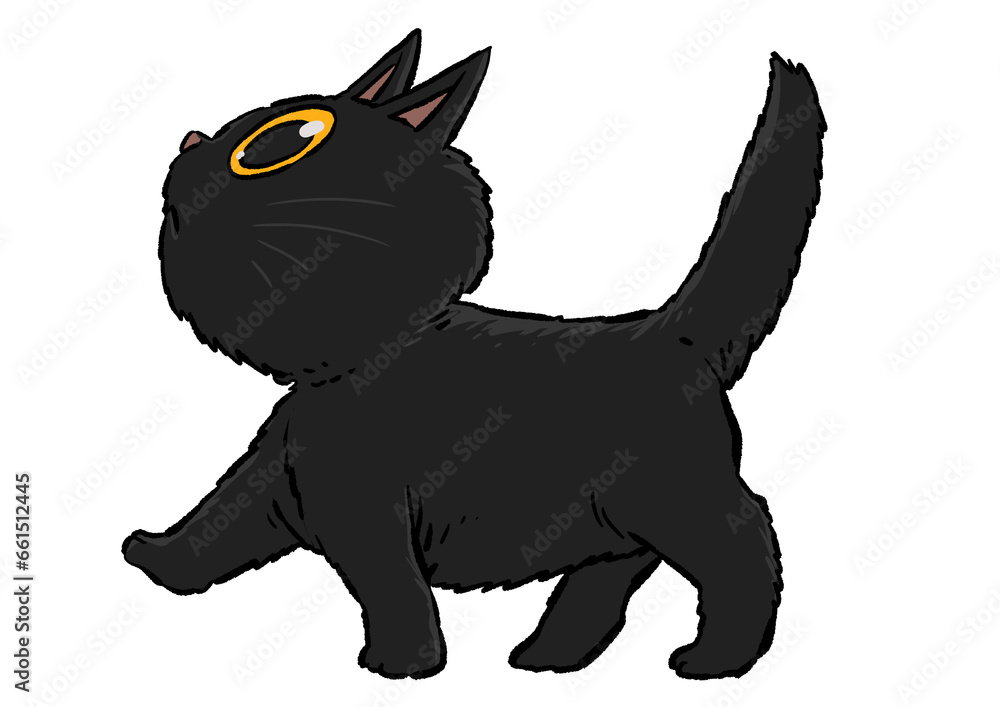 Black cat Posture Black cat Posture