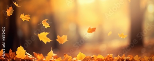 Close-up of orange autumn leaves © Georgina Burrows
