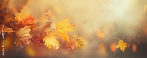 Close-up of orange autumn leaves