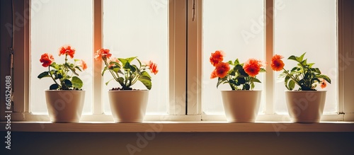 Hanging flowerpots on the windowsill With copyspace for text