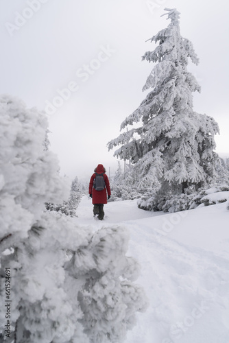 Tourist in winter clothes with backpack walking on trail from Szrenica Peak to Sniezne Kotly. Amazing winter landscape with frozen rocks, stones and trees.