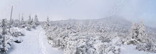 Panoramic view on trail from Szrenica Peak to Sniezne Kotly. Amazing winter landscape with frozen rocks, stones and trees. photo