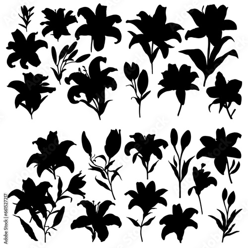 lily silhouettes