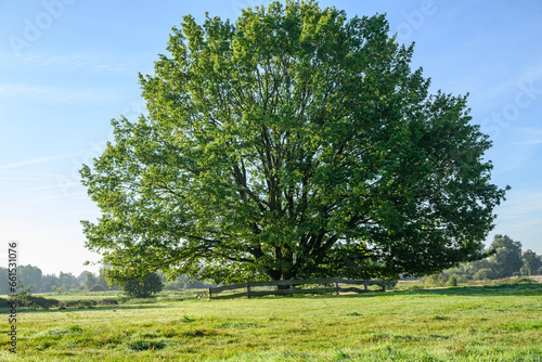 Morgenstimmung an der Aa im Münsterland photo