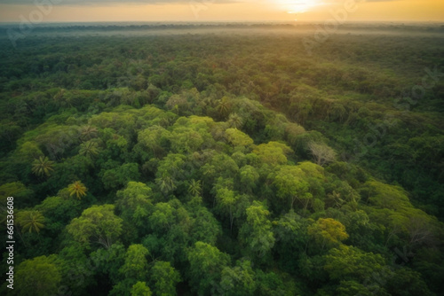 Beautiful green amazon forest landscape at sunset sunrise. Adventure explore air dron view vibe.
