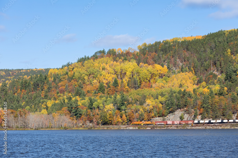 Obraz premium Train Bridge Fall Colours 11