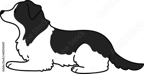 Simple and adorable Border Collie lying down outlined