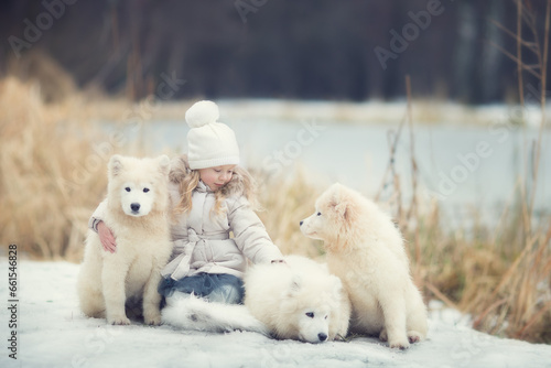 Small girl  with white dogs samoyed in winter park © Olga