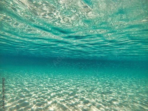 under the sea