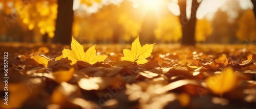 Beautiful autumn landscape with yellow leaves and sun. Colorful foliage in the park. Falling leaves