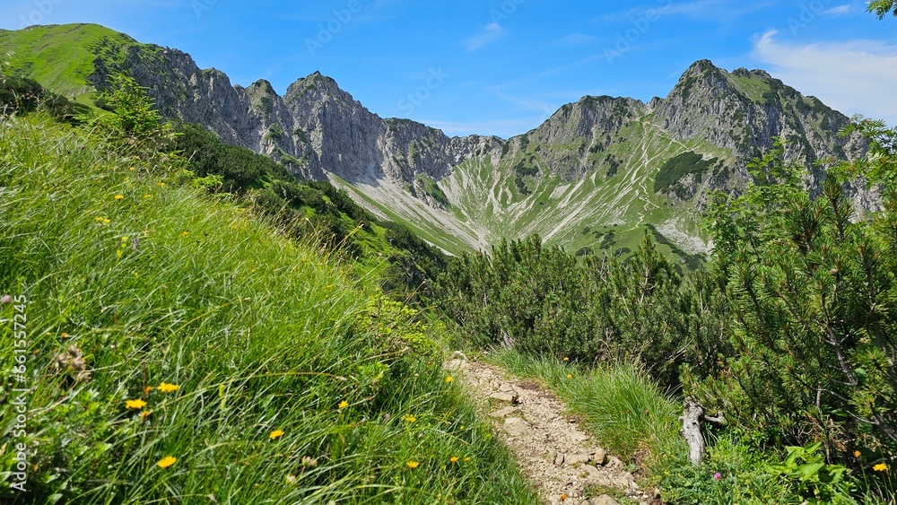 A scenic mountain trail with towering grasses