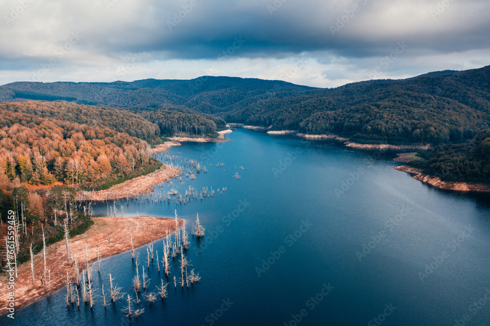 Forest in Autumn with trees near a lake in the mountains aerial view