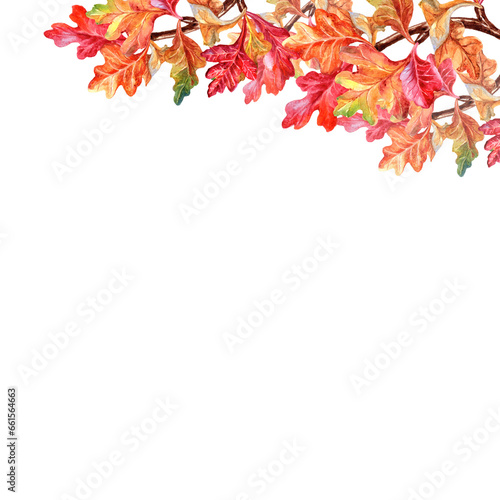 hand-drawn aquarelle border of bright autumn maple and oak leaves © ARTBRUSH
