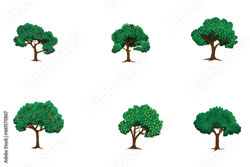 set of summer fruit trees