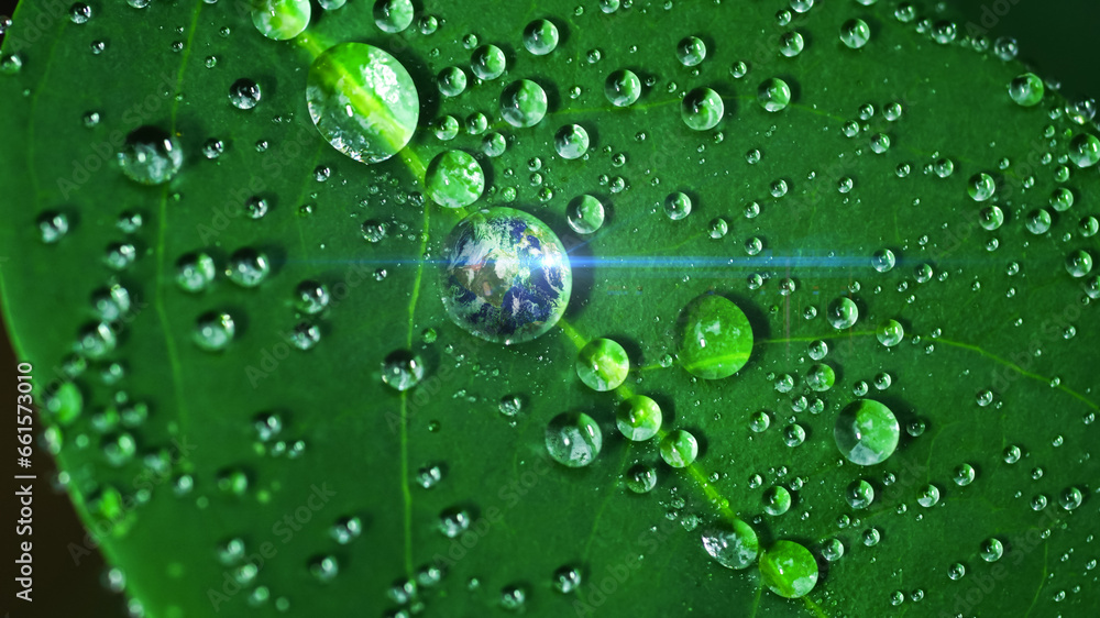 Close up of earth globe in clear dewdrops with light reflection on the green leaves background for safe world, save the planet concept, World water day ,Environment Day. Energy or business banner.