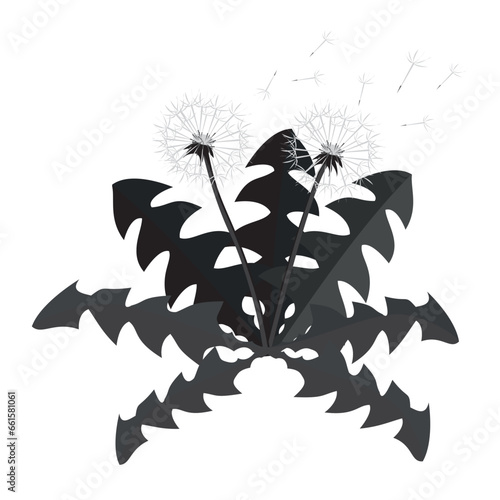 black dandelions icon isolated on a white background 