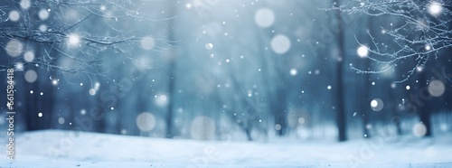 banner, winter background, forest and falling snow and snowflakes, trees frost