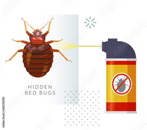 Remove Bed Bugs - Genus Cimex - Stock Illustration