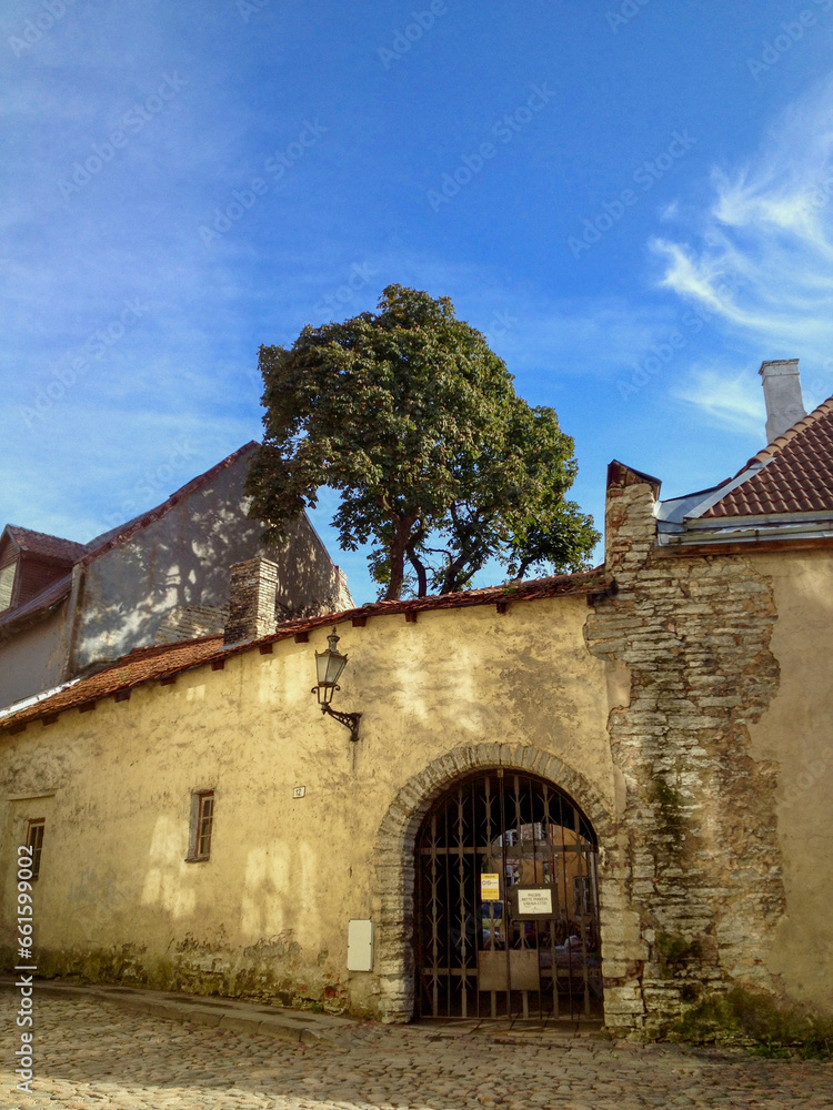 Fototapeta premium Low angle view of historical buildings in Tallinn, Estonia