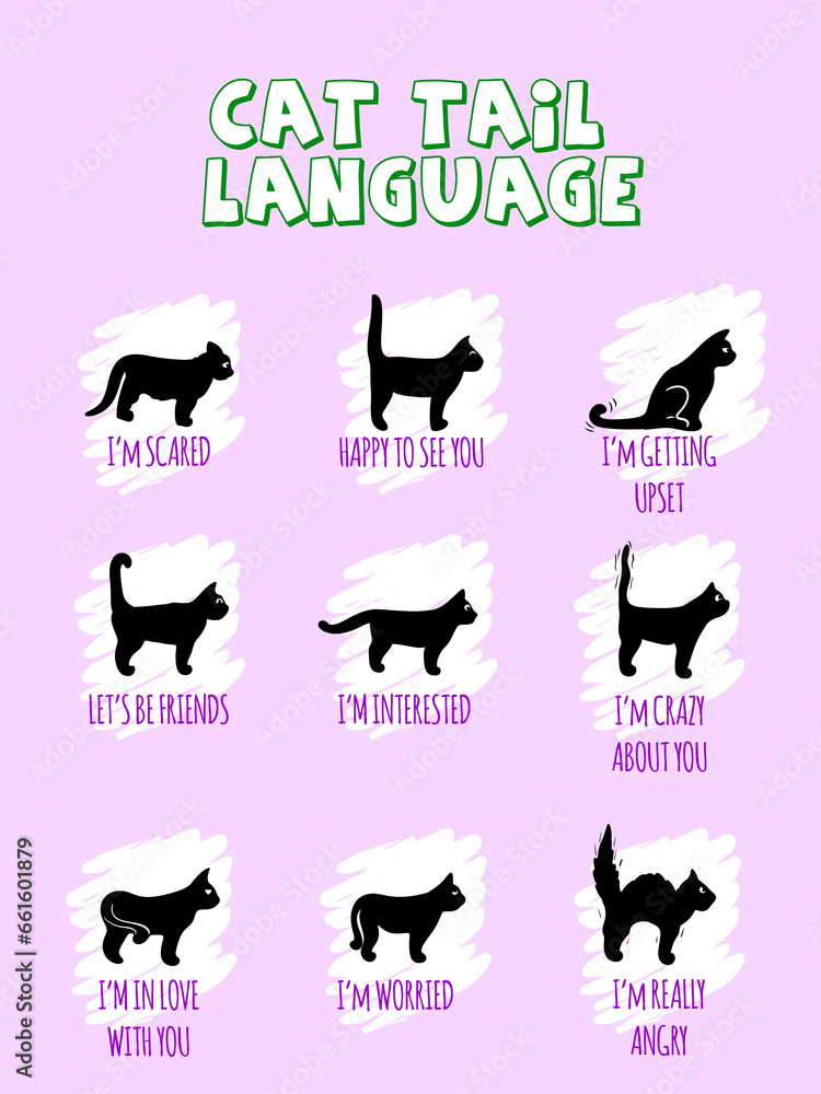 Cat body language behavior signals. Different emotions: frightened focused fearful angry friendly and relaxed. Cat body language behavior signals. Different emotions: frightened focused fearful angry friendly and relaxed.
