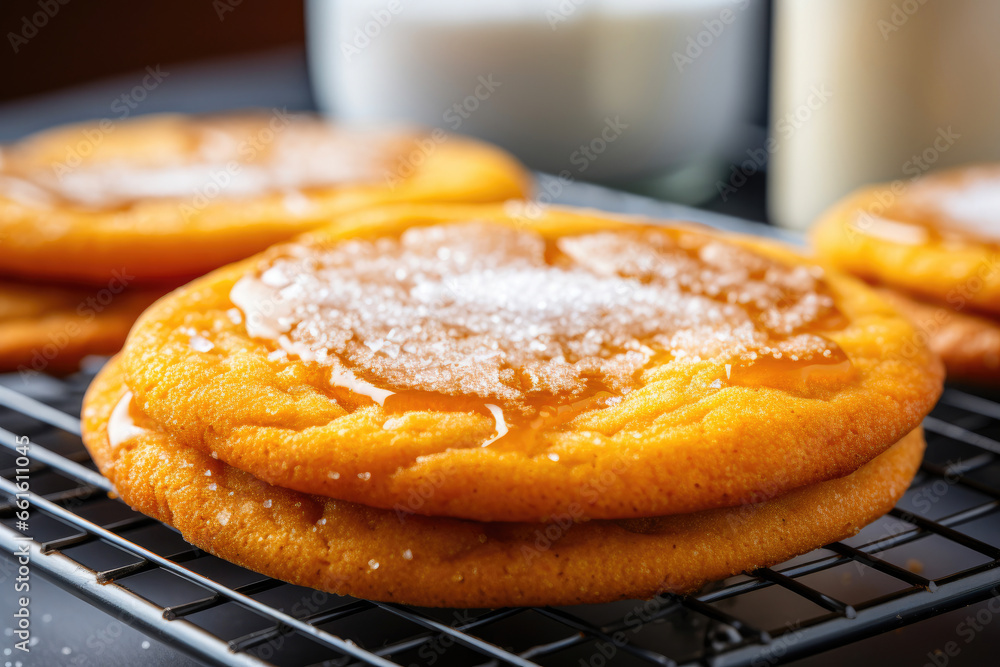 Delicious Pumpkin Sugar Cookie on Cooling Rack Delicious Pumpkin Sugar Cookie on Cooling Rack