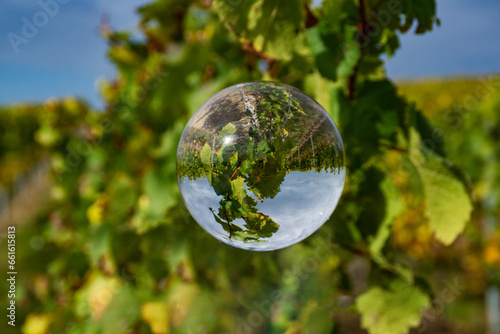 Fotografía Fotografie mit Glaskugel im Weinberg
