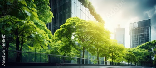 Green concept highlighting an eco friendly building with a vertical garden and trees in a modern city