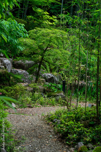 Chemin à travers le jardin d'Onsen, Hakone.