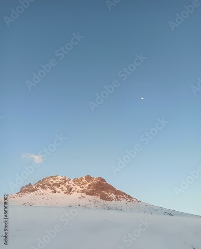 landscape in the desert