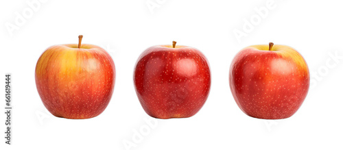 Three ripe red apples arranged in a neat row