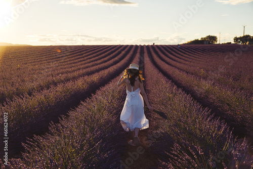 Lavendel Fields in Summer in France
