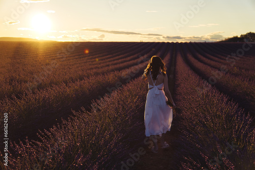 Lavendel Fields in Summer in France
