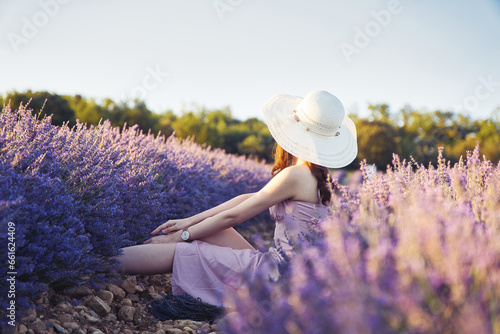 Lavendel Fields in Summer in France