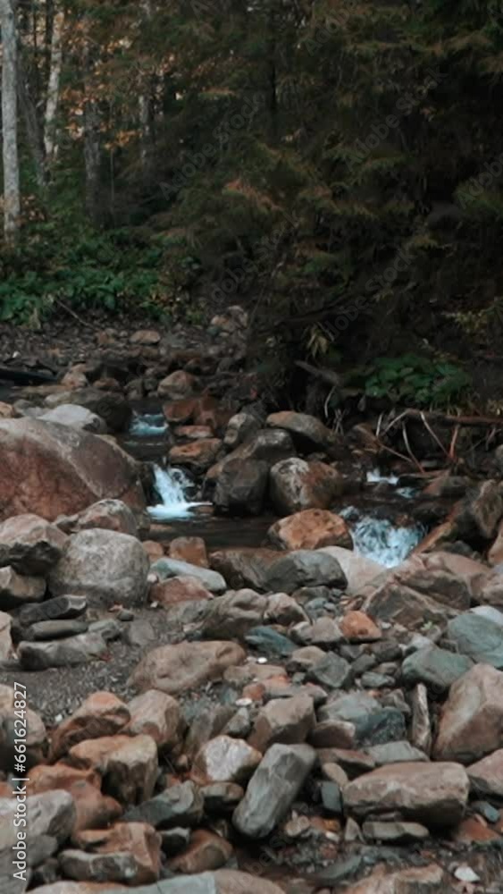 Beautiful mountain waterfall in a deep forest with tall pine trees and many stones and rocks, water flows against the background of greenery in autumn, autumn in the forest Beautiful mountain waterfall in a deep forest with tall pine trees and many stones and rocks, water flows against the background of greenery in autumn, autumn in the forest