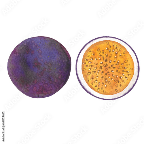 passion fruit drawn in watercolor, picture for farm store and market, vegetarian products