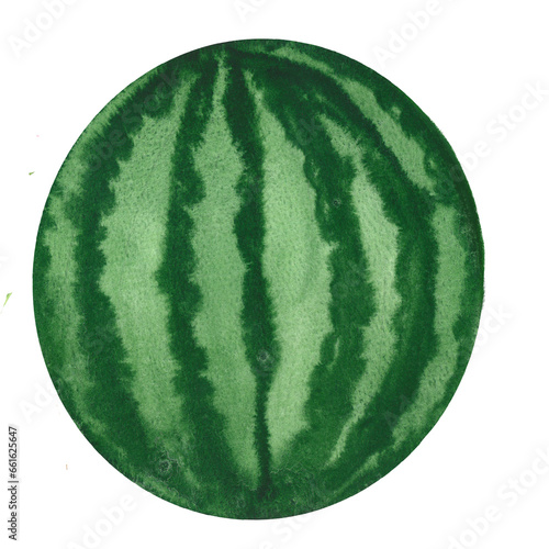 watermelon drawn in watercolor, picture for farm store and market, vegetarian products
