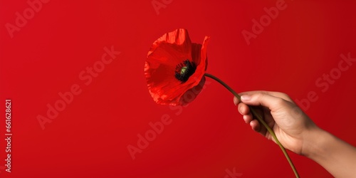 Banner with hand holding red poppy flower, symbol for remembrance, memorial, anzac day photo