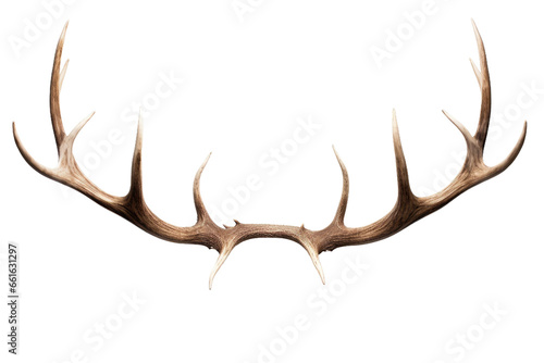 Majestic Caribou Antlers on isolated background