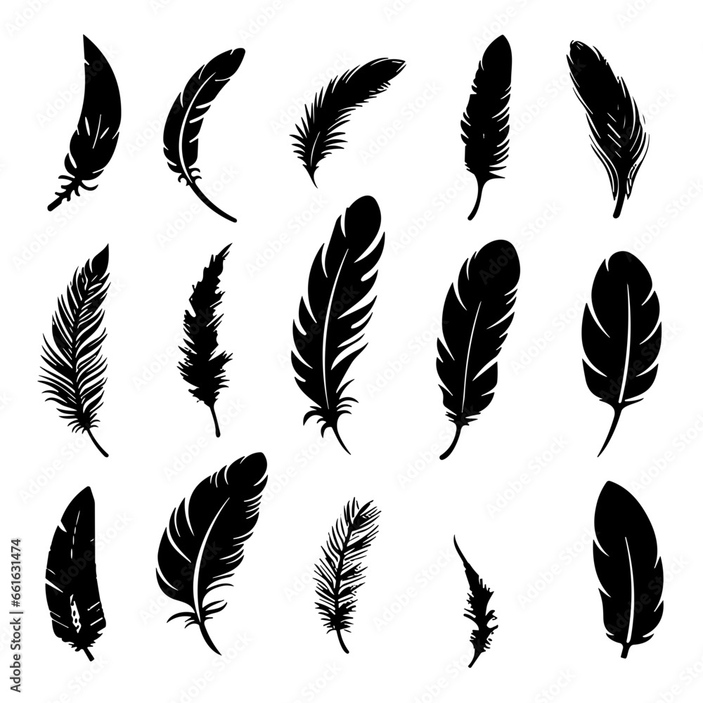 set of feathers set of feathers