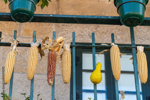 Colorful balcony in the beautiful fishing village of Combarro, in Pontevedra, Galicia photo