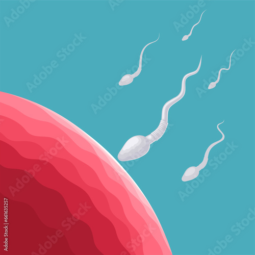 Vector illustration, egg and sperm cells, on a blue background.