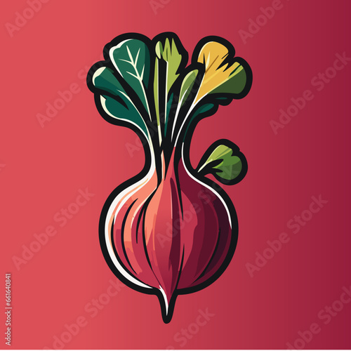 Beet Illustration Radish Illustration