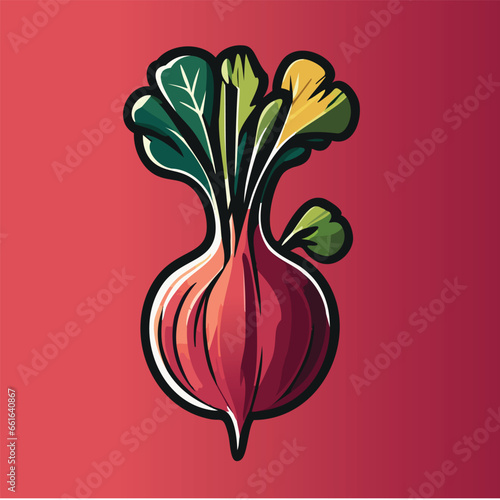 Beet Illustration Radish Illustration