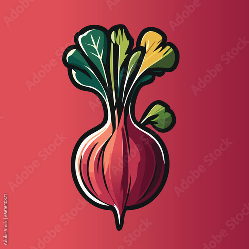 Beet Illustration Radish Illustration