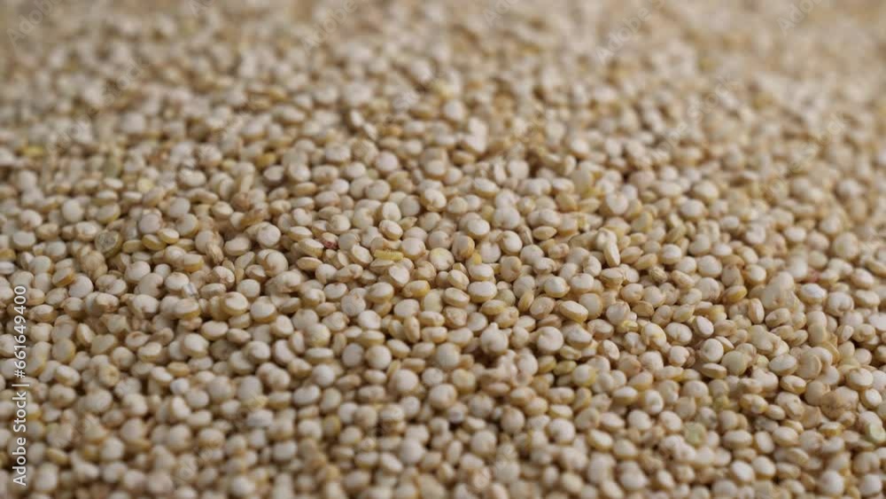 Raw organic quinoa grains on rotating background Raw organic quinoa grains on rotating background