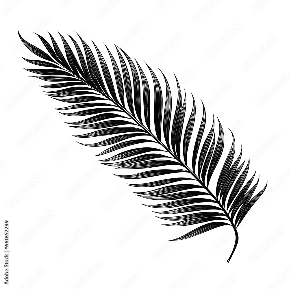 Obraz premium Hand Drawn Sketch Palm Leaf Illustration 