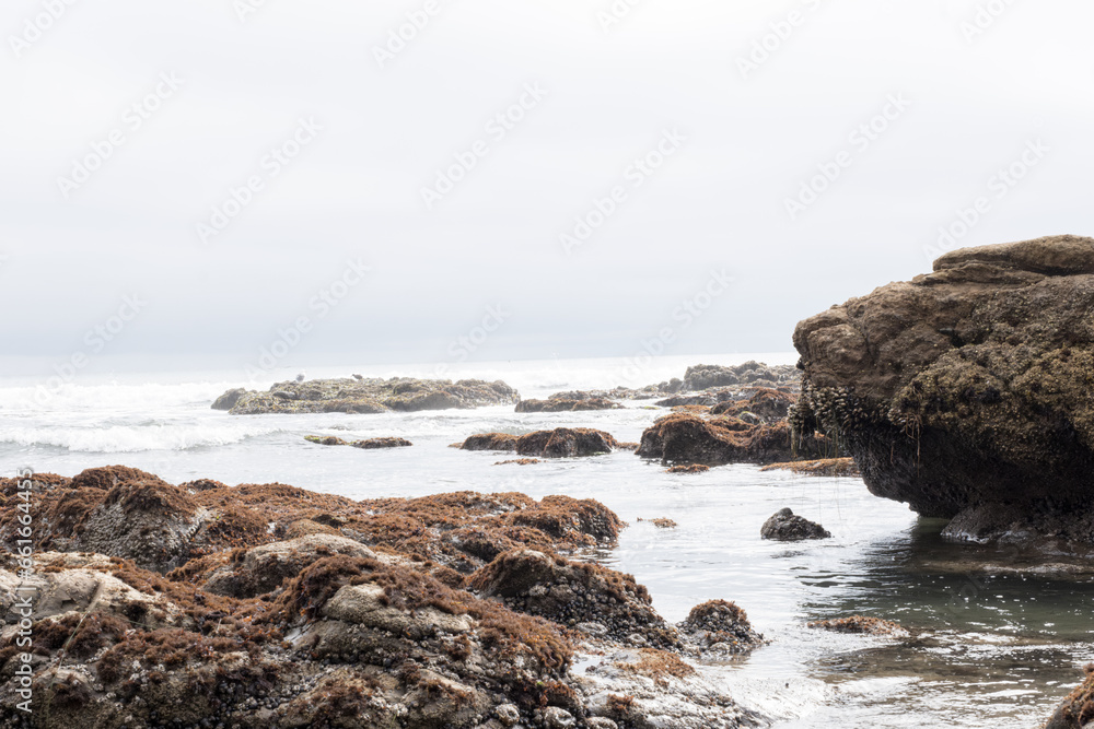 rocks and sea