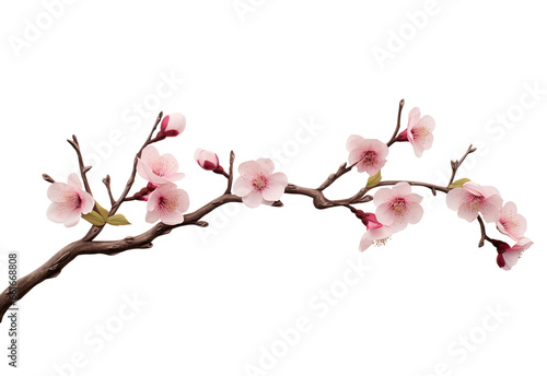 Stampa su tela pink cherry blossom isolated on white, png, cut-out, Beautiful sakura flowers, C